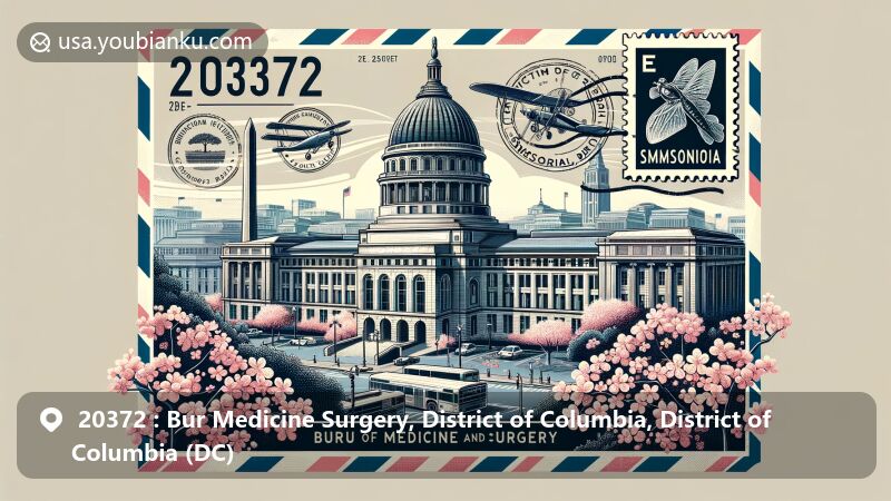 Modern illustration of ZIP code 20372 in District of Columbia, DC, featuring Bur Medicine Surgery area and Smithsonian Institution surrounded by cherry blossoms, with vintage postal theme showcasing '20372' ZIP code.
